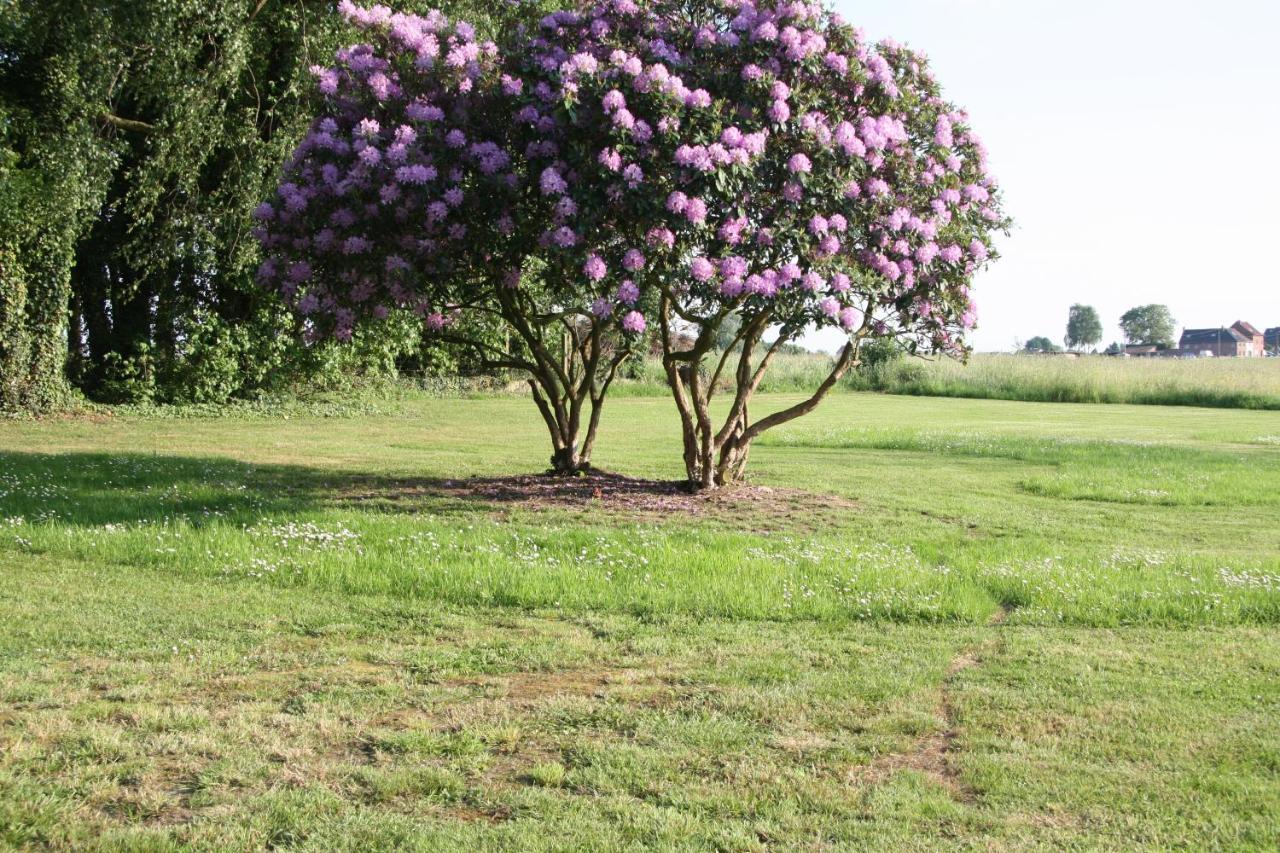 Bed and Breakfast De Rankhove Herne Zewnętrze zdjęcie